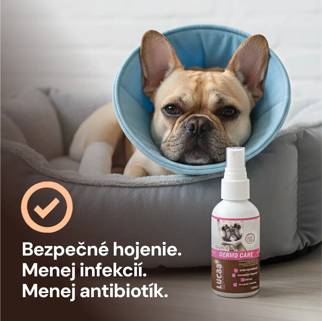 Lucaa+ Péče o rány