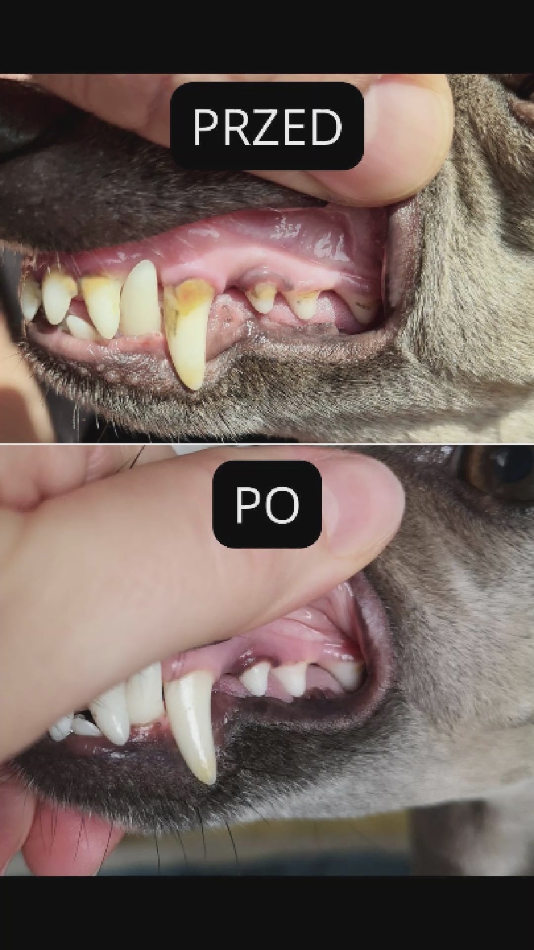 Načíst video: 