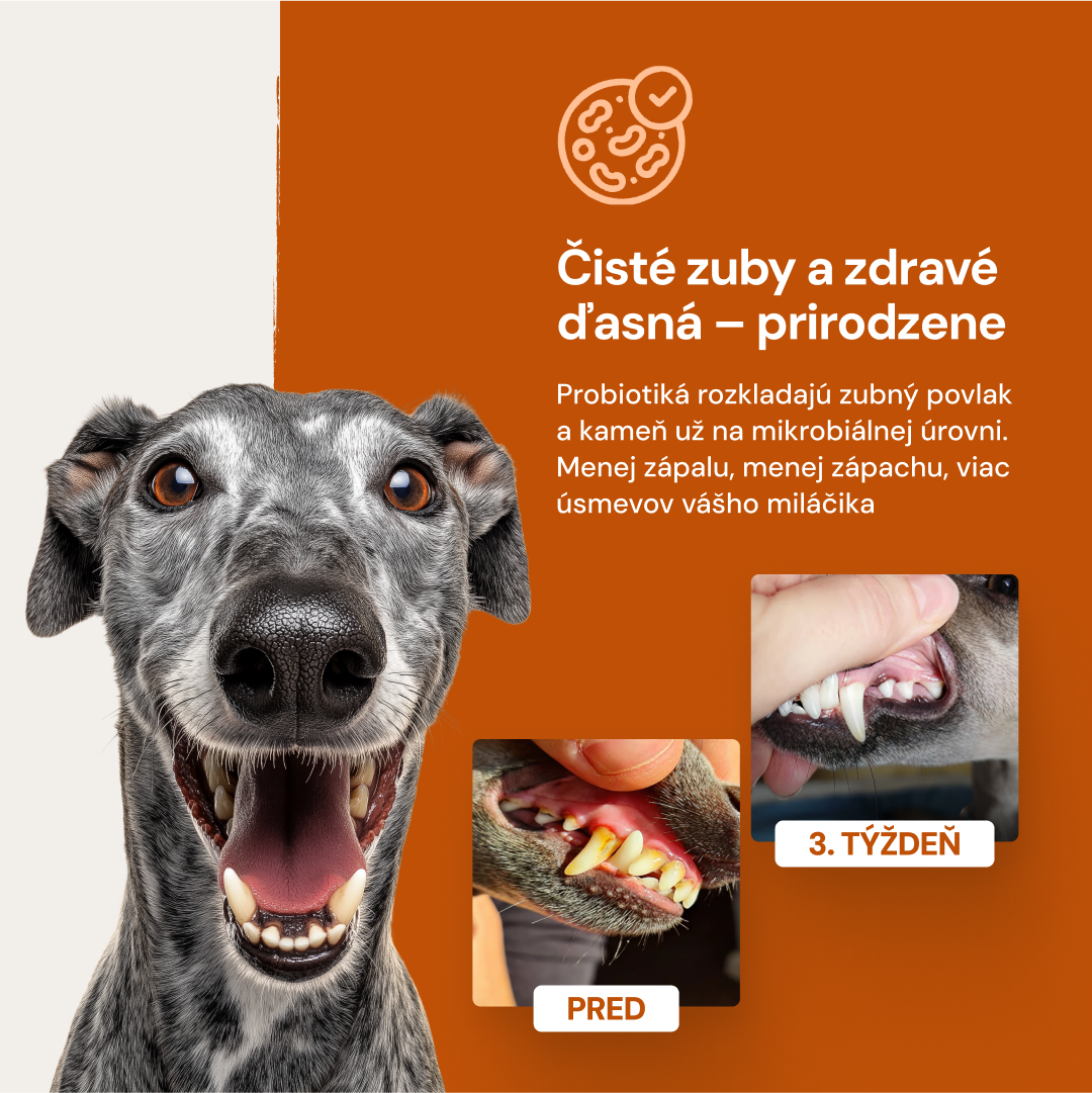 Lucaa+ Péče o zuby