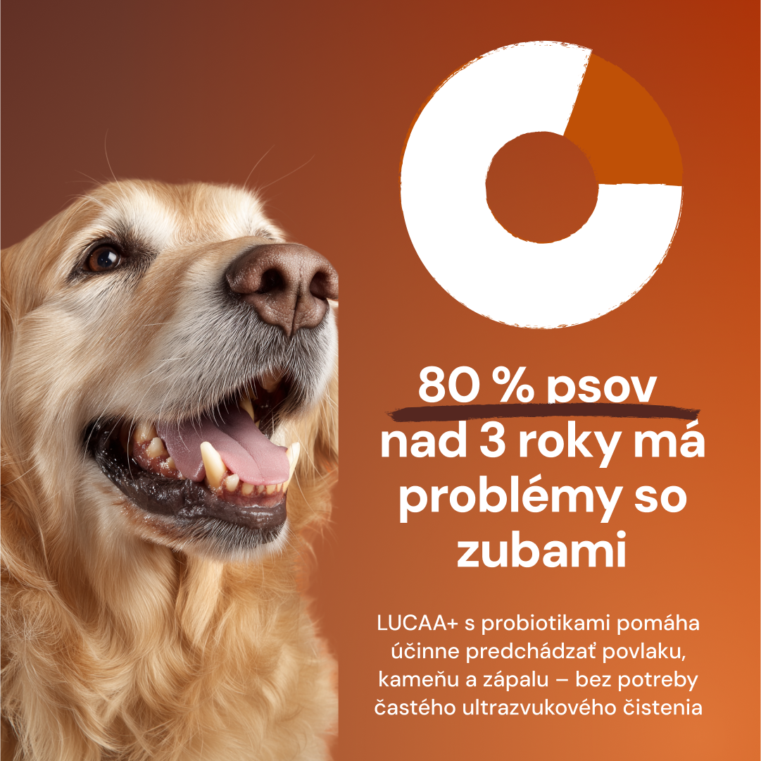 Lucaa+ Péče o zuby
